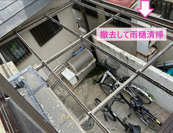 テラス屋根の透明板の貼り替えで既存の波板を撤去して雨樋清掃している様子