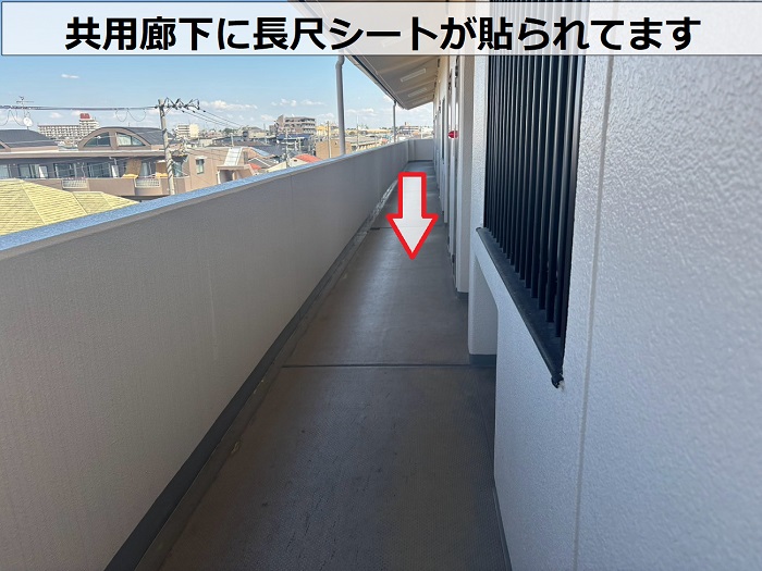 共用廊下の長尺シート貼り