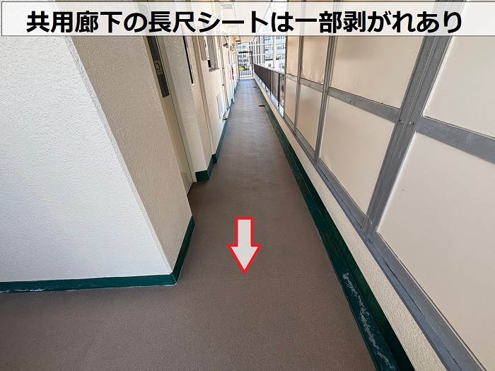 長尺シート
