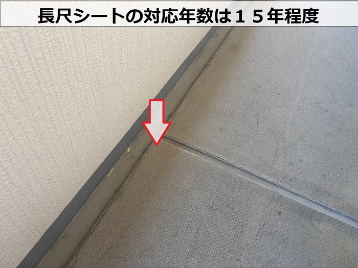 長尺シートの様子