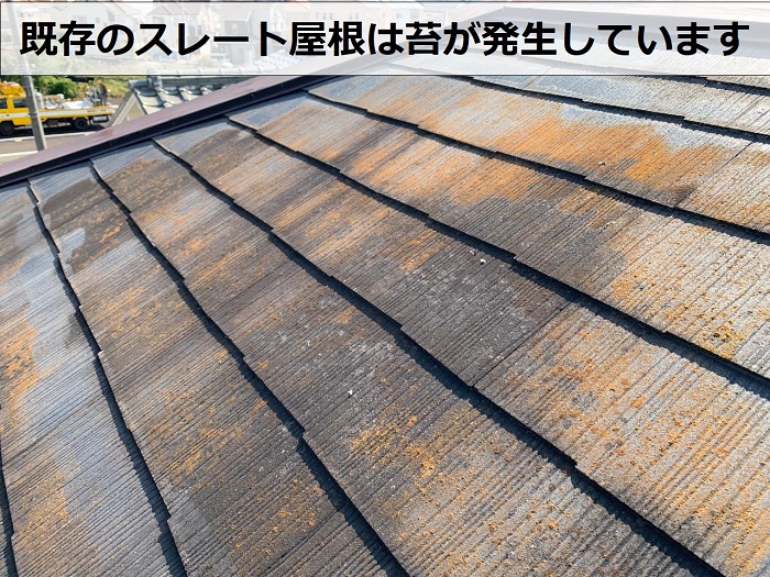 屋根リフォーム前のスレート屋根に苔が発生している様子