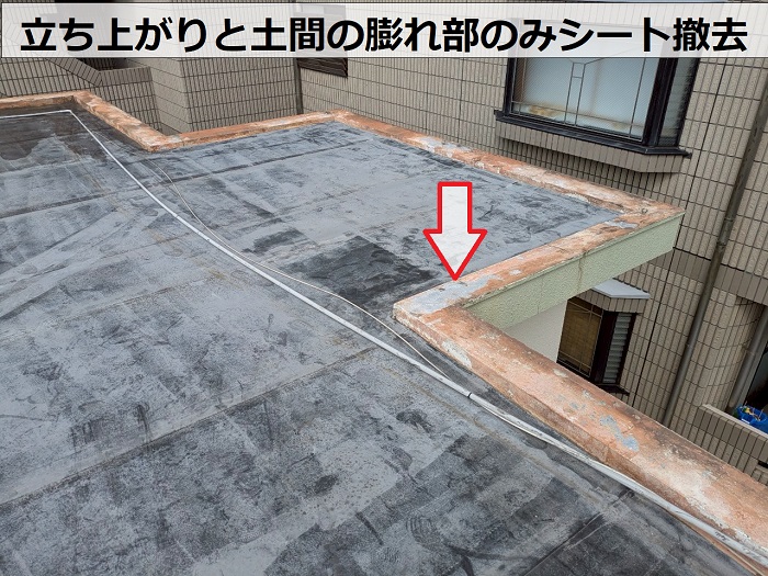 シート撤去