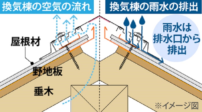 換気棟断面図