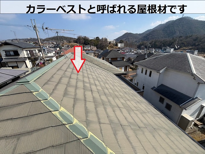 カラーベスト