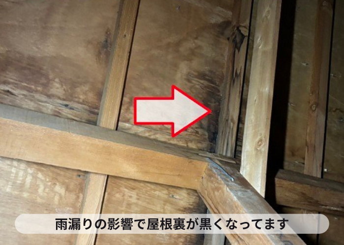 西宮市で雨漏り原因となっている鳩小屋から雨漏りしている様子