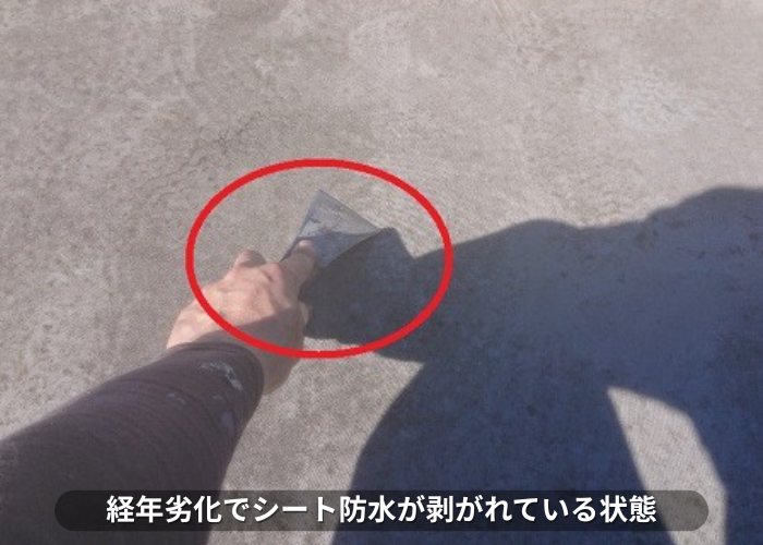 丹波篠山市　シート防水が剥がれている様子