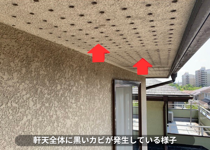 丹波篠山　軒天全体に黒いカビが発生している様子
