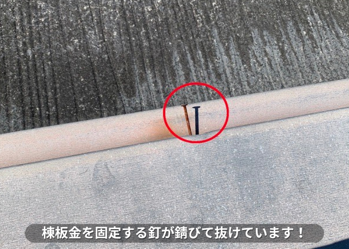 丹波篠山市　棟板金を固定する釘が錆びて抜けている様子