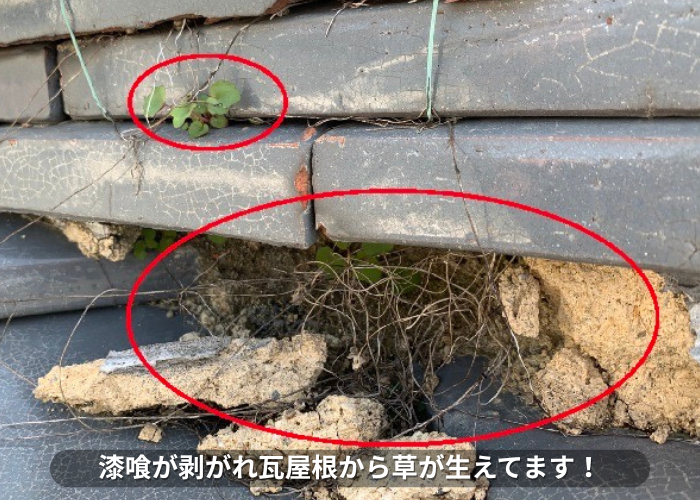 丹波篠山市　瓦屋根の漆喰が剥がれ草が生えている様子
