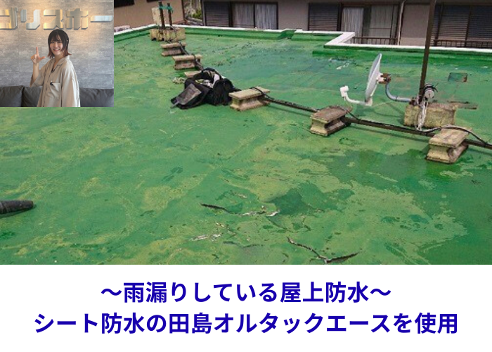 丹波篠山市　雨漏りしている屋上防水にシート防水である田島オルタックエースを使用する現場の様子