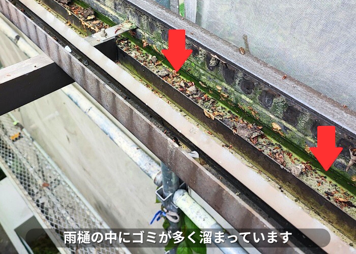 朝来市　2階ベランダ屋根の波板の雨樋内部にゴミが溜まっている様子