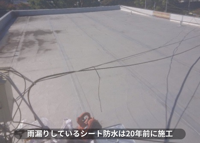 丹波篠山市　雨漏りしているシート防水の様子