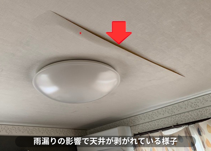 丹波篠山市　雨漏りの影響で天井が剥がれている様子