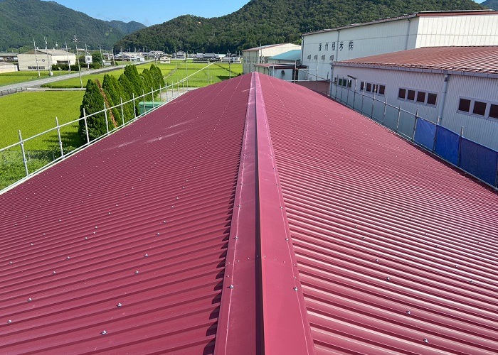 丹波篠山　工場の屋根カバー工事を行った後の様子