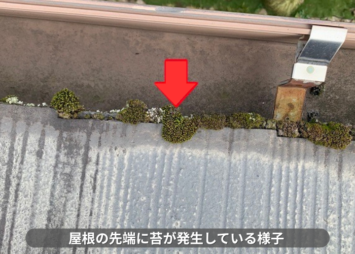 丹波篠山市　カラーベスト屋根の無料点検で苔の発生を確認