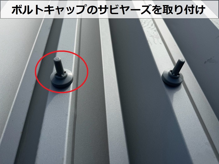 サビヤーズ